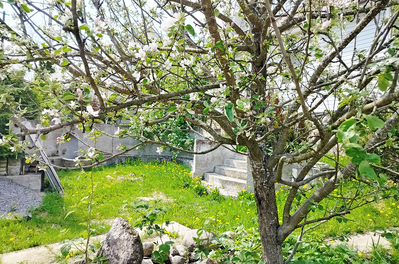 Дом 150 м² на участке 10 сот.