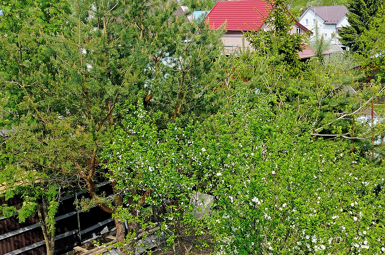 Дом 150 м² на участке 10 сот.