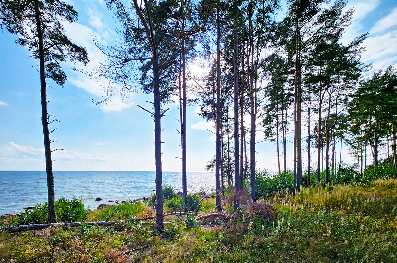 Дом 400 м²  на берегу Финского залива  на участке 22,5 сот