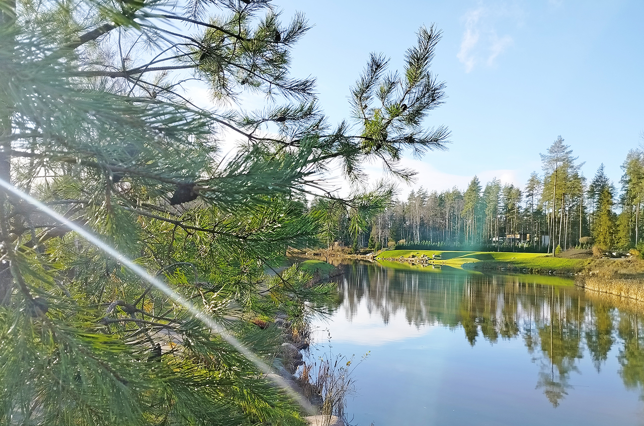 Участок 24 сот. (ДНП)