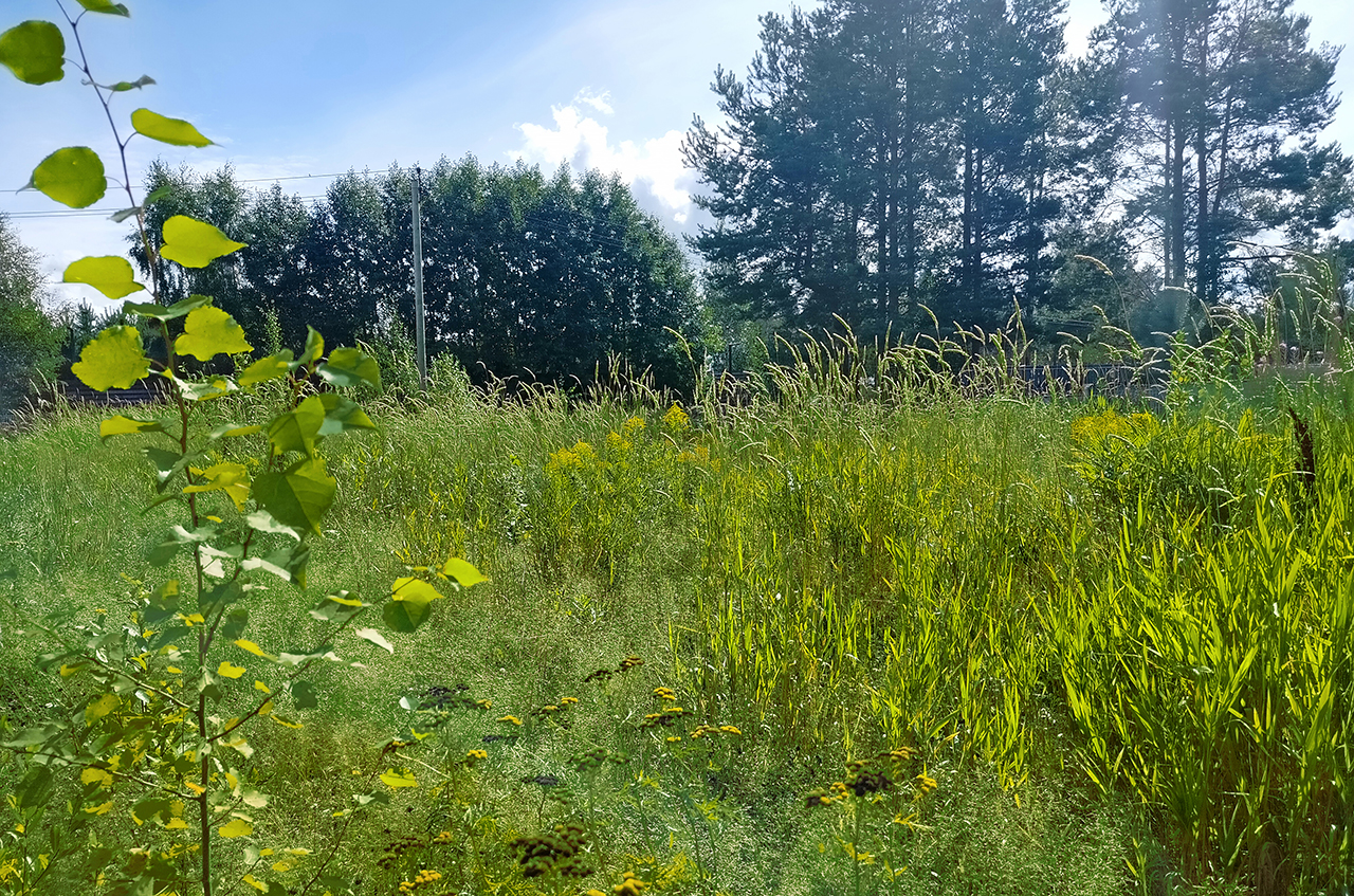 Участок 24 сот. (ДНП)