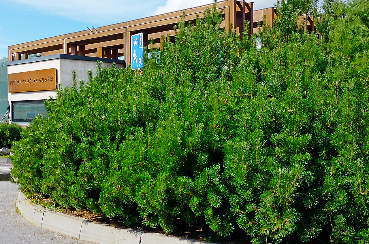 Участок 24 сот. (ДНП)