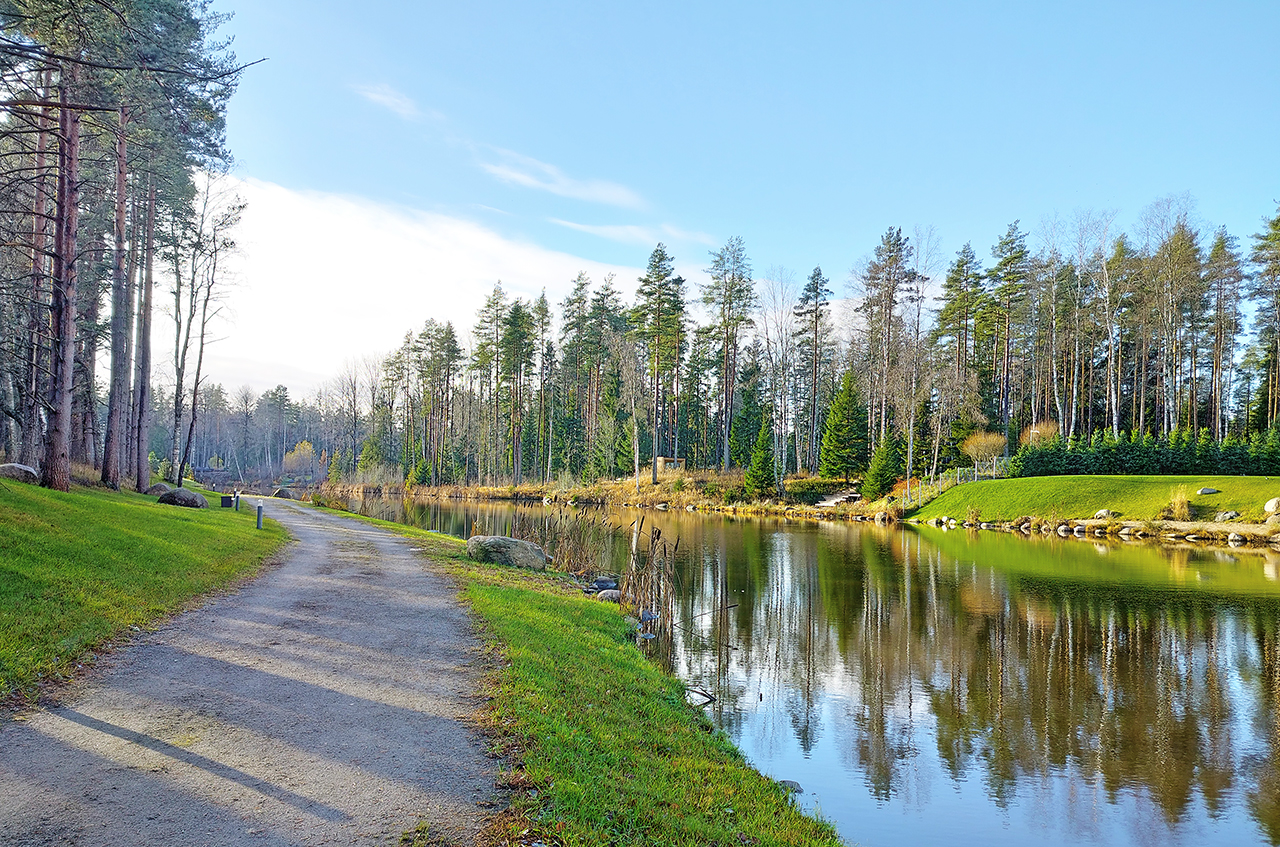 Участок 24 сот. (ДНП)