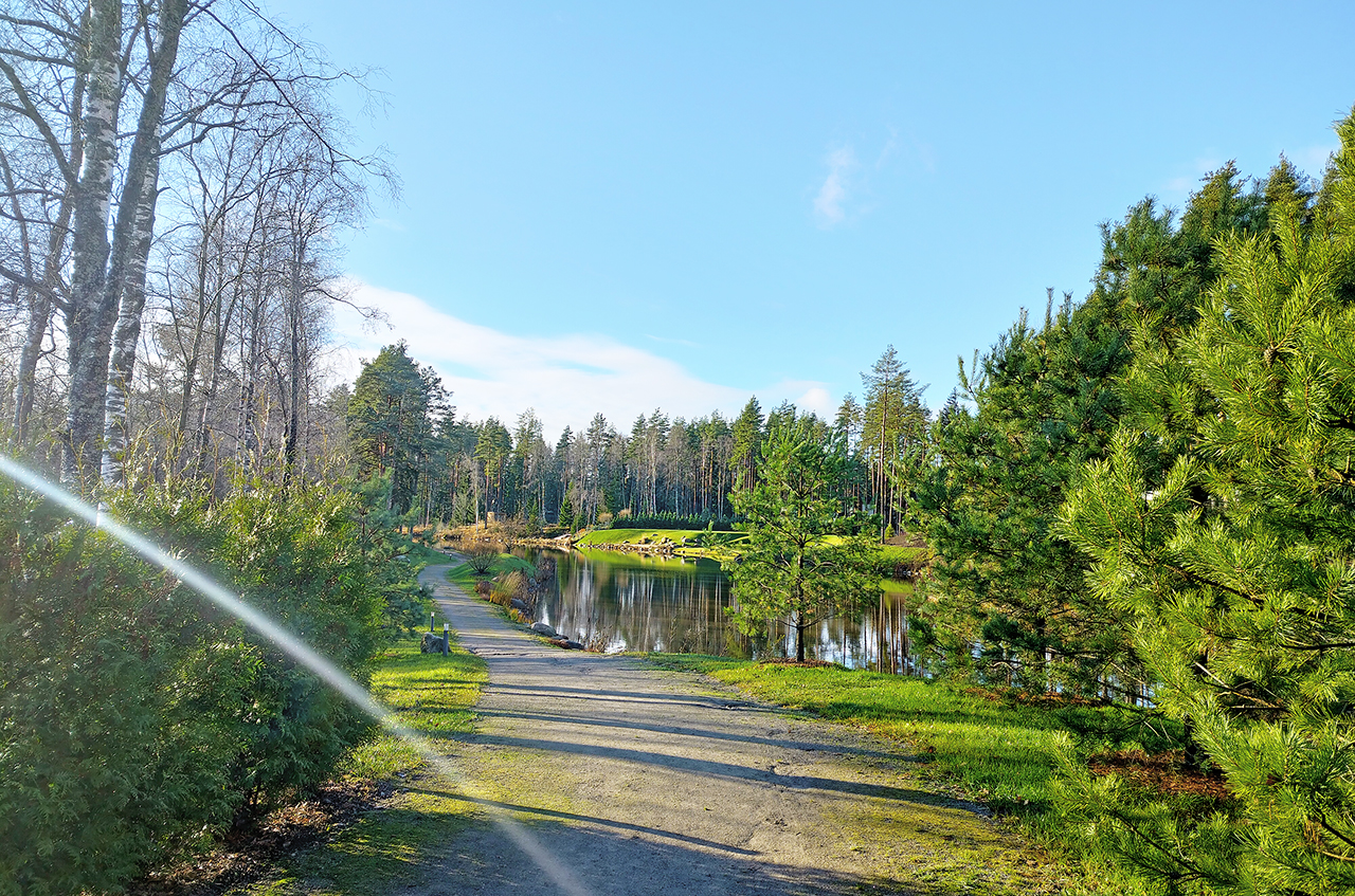 Участок 24 сот. (ДНП)