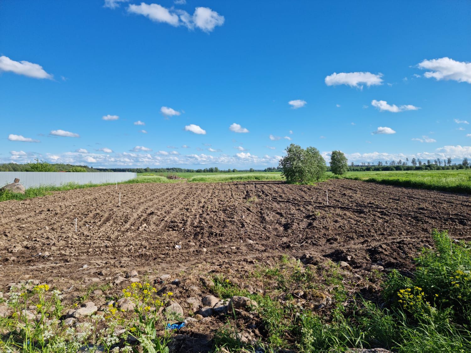 Участок 25 сот. (ИЖС)