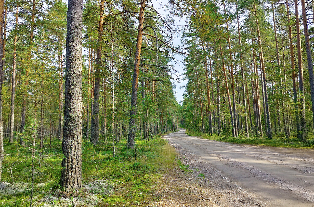 Участок 8,9 сот. (ИЖС)