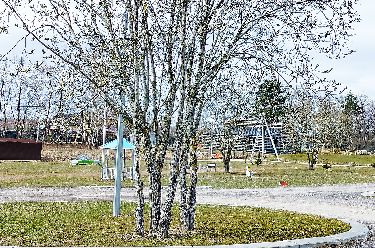 Участок 9,5 сот. (ИЖС)