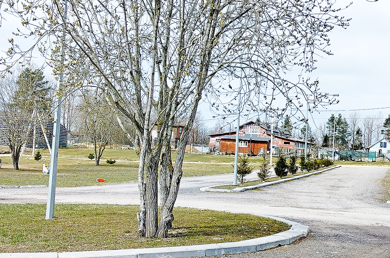 Участок 9,5 сот. (ИЖС)